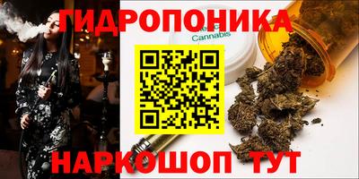 скорость Партизанск