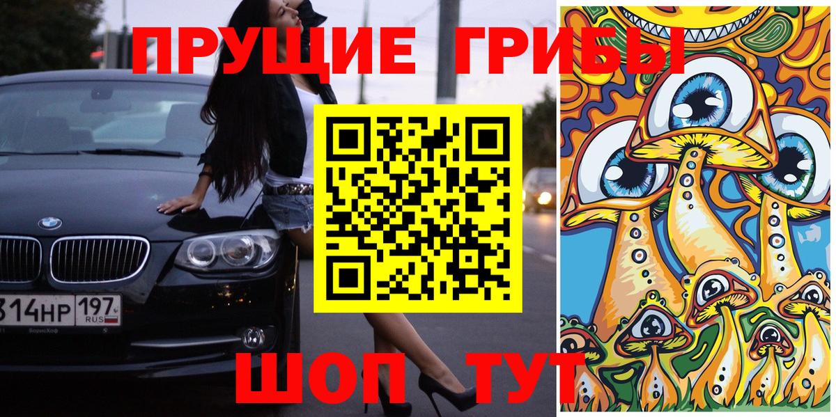 Старая Купавна  Псилоцибиновые грибы Psilocybe  Вход с VPN 